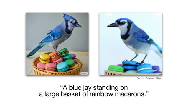 “A blue jay standing on 

a large basket of rainbow macarons.”
Source: Benjamin Hilton
 