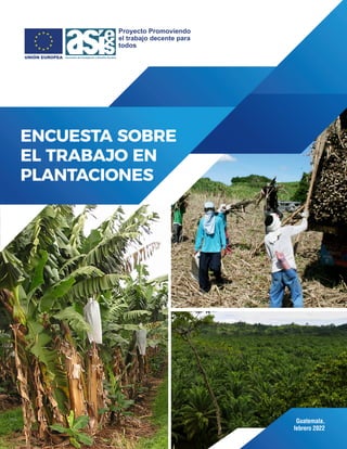 Guatemala,
febrero 2022
ENCUESTA SOBRE
EL TRABAJO EN
PLANTACIONES
 