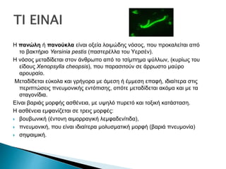 Η πανώλη ή πανούκλα είναι οξεία λοιμώδης νόσος, που προκαλείται από
το βακτήριο Yersinia pestis (παστερέλλα του Υερσέν).
Η νόσος μεταδίδεται στον άνθρωπο από το τσίμπημα ψύλλων, (κυρίως του
είδους Xenopsylla cheopsis), που παρασιτούν σε άρρωστο μαύρο
αρουραίο.
Μεταδίδεται εύκολα και γρήγορα με άμεση ή έμμεση επαφή, ιδιαίτερα στις
περιπτώσεις πνευμονικής εντόπισης, οπότε μεταδίδεται ακόμα και με τα
σταγονίδια.
Είναι βαριάς μορφής ασθένεια, με υψηλό πυρετό και τοξική κατάσταση.
Η ασθένεια εμφανίζεται σε τρεις μορφές:
 βουβωνική (έντονη αιμορραγική λεμφαδενίτιδα),
 πνευμονική, που είναι ιδιαίτερα μολυσματική μορφή (βαριά πνευμονία)
 σηψαιμική.
 