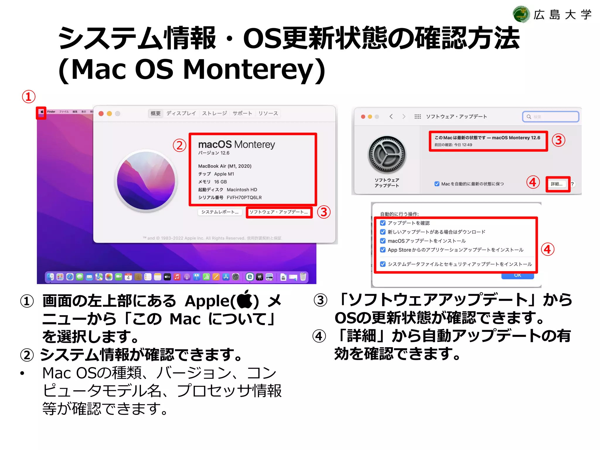 システム情報・OS更新状態の確認方法
(Mac OS Monterey)
① 画面の左上部にある Apple( ) メ
ニューから「この Mac について」
を選択します。
② システム情報が確認できます。
• Mac OSの種類、バージョン、コン
ピュータモデル名、プロセッサ情報
等が確認できます。
③ 「ソフトウェアアップデート」から
OSの更新状態が確認できます。
④ 「詳細」から自動アップデートの有
効を確認できます。
①
②
③
③
④
④
 