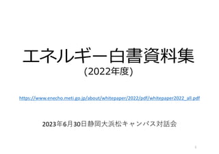 (2022年度)
https://www.enecho.meti.go.jp/about/whitepaper/2022/pdf/whitepaper2022_all.pdf
2023年6月30日静岡大浜松キャンパス対話会
1
 