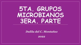 5TA. GRUPOS
MICROBIANOS
3ERA. PARTE
Dalila del C. Montañez
2022
 