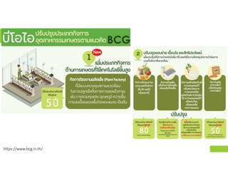 https://www.bcg.in.th/
 