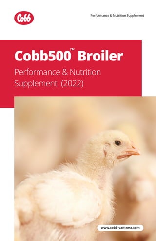 Cobb500 Broiler
Performance & Nutrition
Supplement (2022)
www.cobb-vantress.com
Performance & Nutrition Supplement
TM
 