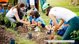 Instalación de jardín de mariposas / Jornadas de plantación de especies nativas
que atraen mariposas y otros polinizadores en escuela Quest Escobar
 