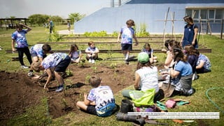 Instalación de jardín de mariposas / Jornadas de plantación de especies nativas que
atraen mariposas y otros polinizadores en escuela Quest Escobar
 