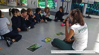 Talleres presenciales / Jornada de talleres junto a grupos de sala de 5 sobre plantas nativas,
mariposas y otros polinizadores con actividad de siembra en almácigo en escuela de Olivos
 