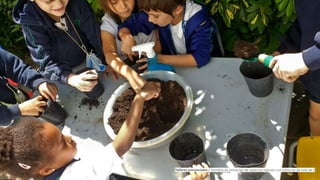 Talleres presenciales / Siembra en almácigo de especies nativas con niños/as de sala de 5
 