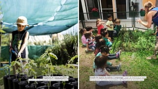 Armado de espacio de huerta y compostaje / Taller de huerta en el marco
del programa «Escuelas Sustentables» del Municipio de Vicente López.
Instalación de viveros escolares /
Construcción de vivero de plantas nativas (Escobar).
 