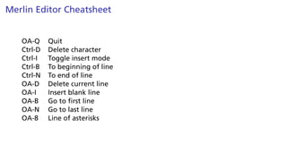 Merlin Editor Cheatsheet
OA-Q Quit
Ctrl-D Delete character
Ctrl-I Toggle insert mode
Ctrl-B To beginning of line
Ctrl-N To end of line
OA-D Delete current line
OA-I Insert blank line
OA-B Go to first line
OA-N Go to last line
OA-8 Line of asterisks
 