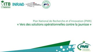 Plan National de Recherche et d’Innovation (PNRI)
« Vers des solutions opérationnelles contre la jaunisse »
•Amélie Monteiro – Comité Technique de Normandie – 18 janvier 2023
 