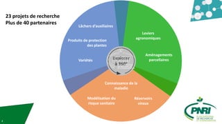 2
Explorer
à 360°
Produits de protection
des plantes
Leviers
agronomiques
Connaissance de la
maladie
Variétés
Lâchers d’au...