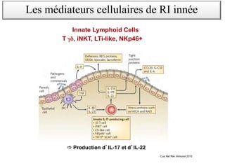 Innate Lymphoid Cells
T γδ, iNKT, LTi-like, NKp46+
! Production d IL-17 et d IL-22
Cua Nat Rev Immunol 2010
Les médiateurs cellulaires de RI innée
 
