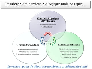 Fonction Immunitaire
ØRégulation de l’inflammation
ØRésistance à la colonisation
ØActivation du système immunitaire
Fonction Trophique
et Protectrice
Ø Développement cellulaire
Ø Effet de Barrière
Fonction Métaboliques
ØHydrolyse des polysaccharides
ØProduction d’acides aminés
ØStockage des graisses
ØProduction de vitamine
Un ventre qui ballonne, qui gonfle un peu, des petits désagréments, ou quand on se
sent « lourd système immunitaire va essayer de gérer le
problème, puis les autres organes vont prendre le relais
le premier.
Par exemple, si le foie est mis à rude épreuve, on aura une mauvaise haleine, des yeux
ment lui qui est la cause du problème,
forcément le nez qui est en cause mais le système immunitaire qui est attaqué.
La langue blanche, des difficultés à se réveiller le matin, des réveils nocturnes, des
aphtes, la mauvaise haleine, sont autant de signes qui nous font prendre conscience que le
corps nous envoie des signaux tout le temps !
Ces expressions populaires ne vous disent rien ?
« Ça me gonfle »
« Avoir la boule au ventre » ou « Avoir la peur au ventre » ou «
Ça me fait chier »
Le ventre : point de départ de nombreux problèmes de santé
Le microbiote barrière biologique mais pas que,…
 
