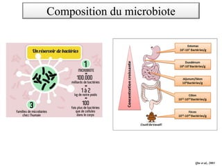 Qin et al., 2003
Composition du microbiote
 