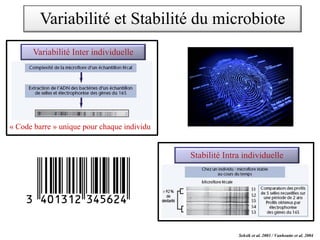 Seksik et al. 2003 / Vanhoutte et al. 2004
« Code barre » unique pour chaque individu
Variabilité Inter individuelle
Stabilité Intra individuelle
Variabilité et Stabilité du microbiote
 