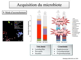 Dominguez-Bello MG et al. 2010
Césarienne
Ø Staphylococcus
Ø Corynebacterium
Ø Propionibacterium
Voie basse
Ø Lactobacillus
Ø Prevotella
Ø Sneathia
Asthme ?
Atopie?
1. Mode d’accouchement
Acquisition du microbiote
 