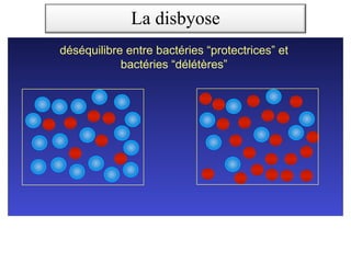 Dysbiose
déséquilibre entre bactéries “protectrices” et
bactéries “délétères”
La disbyose
 
