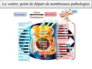 Pathologies Microbiote
Cause
Conséquence
Hôte
Microbiote
Le ventre: point de départ de nombreuses pathologies
 