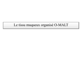 Le tissu muqueux organisé O-MALT
 