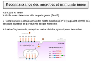 Reconnaissance des microbes et immunité innée
Ref Cours RI innée
ØMotifs moléculaires associés au pathogènes (PAMP)
ØRécepteurs de reconnaissance des motifs microbiens (PRR): agissent comme des
senseurs capables de percevoir le danger microbien.
ØIl existe 3 système de perception : extracellulaire, cytosolique et internalisé.
 