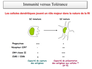 Immunité versus Tolérance
Les cellules dendritiques jouent un rôle majeur dans la nature de la RI
 