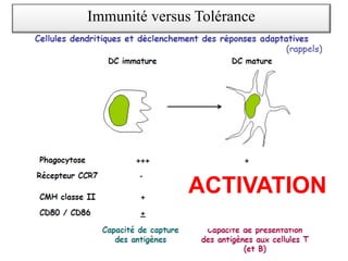 ACTIVATION
Immunité versus Tolérance
 