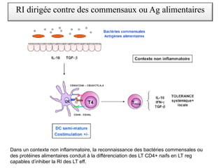 RI dirigée contre des commensaux ou Ag alimentaires
Dans un contexte non inflammatoire, la reconnaissance des bactéries commensales ou
des protéines alimentaires conduit à la différenciation des LT CD4+ naifs en LT reg
capables d’inhiber la RI des LT eff.
 