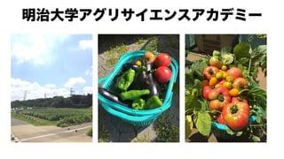 明治大学アグリサイエンスアカデミー
 