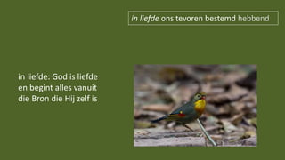 in liefde ons tevoren bestemd hebbend
in liefde: God is liefde
en begint alles vanuit
die Bron die Hij zelf is
 