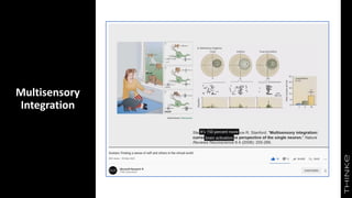 Multisensory
Integration
 