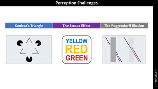 Perception Challenges
Kanizsa’s Triangle The Stroop Effect The Poggendorff Illusion
 