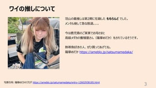 ワイの推しについて
3
⽻⼭の最推しは第2期に在籍した ももらんど でした。
メンタル崩して急な脱退。。。
今は⿅児島のご実家でお⺟さまと
⾼級メダカの養殖屋さん（薩摩めだか）をされているそうです。
熱帯⿂好きの⼈、ぜひ買ってあげてね。
薩摩めだか https://ameblo.jp/satsumamedaka/
写真引⽤: 薩摩めだかのブログ https://ameblo.jp/satumamedaka/entry-12602938185.html
 
