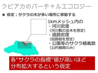 クビアカのバーチャルエコロジー
● 仮定：サクラの木が多い場所に移動する
1kmメッシュ内の
・河川密度
（河川敷の並木を想定）
・道路密度
（街路樹を想定）
・公園等のサクラ植栽数
（公的機関のみ）
各“サクラの指標”値が高いほど
分布拡大するという仮定
 