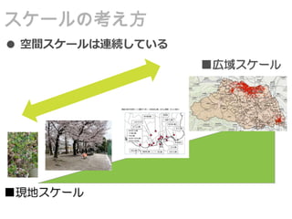 ■現地スケール
■広域スケール
● 空間スケールは連続している
スケールの考え方
 