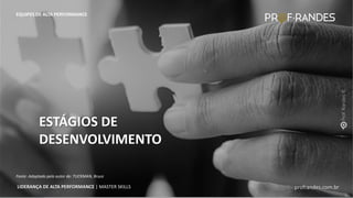 profrandes.com.br
LIDERANÇA DE ALTA PERFORMANCE | MASTER SKILLS
ESTÁGIOS DE
DESENVOLVIMENTO
EQUIPES DE ALTA PERFORMANCE
profrandes.com.br
LIDERANÇA DE ALTA PERFORMANCE | MASTER SKILLS
Fonte: Adaptado pelo autor de: TUCKMAN, Bruce
 