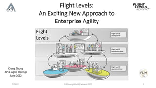 Introduction to Flight Levels - Flight Levels Academy