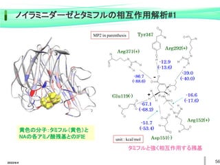 2022/6/4 56
ノイラミニダーゼとタミフルの相互作用解析#1
黄色の分子：タミフル（黄色）と
NAの各アミノ酸残基とのIFIE
タミフルと強く相互作用する残基
unit : kcal/mol
MP2 in parenthesis
 