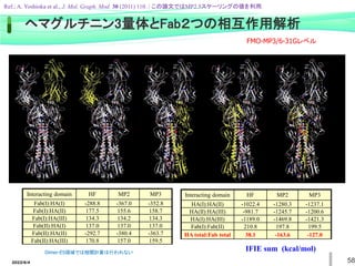 2022/6/4 58
ヘマグルチニン3量体とFab２つの相互作用解析
Interacting domain HF MP2 MP3
Fab(I):HA(I) -288.8 -367.0 -352.8
Fab(I):HA(II) 177.5 155.6 158.7
Fab(I):HA(III) 134.3 134.2 134.3
Fab(II):HA(I) 137.0 137.0 137.0
Fab(II):HA(II) -292.7 -380.4 -363.7
Fab(II):HA(III) 170.8 157.0 159.5
IFIE sum (kcal/mol)
Interacting domain HF MP2 MP3
HA(I):HA(II) -1022.4 -1280.3 -1237.1
HA(II):HA(III) -981.7 -1245.7 -1200.6
HA(I):HA(III) -1189.0 -1469.8 -1421.3
Fab(I):Fab(II) 210.8 197.8 199.5
HA total:Fab total 38.1 -163.6 -127.0
Ref.; A. Yoshioka et al., J. Mol. Graph. Mod. 30 (2011) 110. / この論文ではMP2.5スケーリングの値を利用.
FMO-MP3/6-31Gレベル
Dimer-ES領域では相関計算は行われない
 