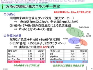 2022/6/4 70
◇DsRed
珊瑚由来の赤色蛍光タンパク質 （蛍光マーカー）
⇒ 吸収558nm（2.22eV）、発光583nm（2.13eV）
Gln66-Tyr67-Gly68の自己反応による色素生成
⇒ Phe65とは-C=N-CO-結合
◇計算と結果
階層2：“色素＋Phe65+Ser69”まで3種
6-31G*基底 （3553原子、220フラグメント）
⇒ 実験値との差は0.1eV以内
吸収 (eV) 　　　 CIS 　　CIS(D)
pig 3.35 2.49
pig+Phe 3.27 2.30
pig+Phe+Ser 3.26 2.28
極大：実験値 2.22
発光 (eV) 　　　 CIS 　　CIS(D)
pig 3.25 2.41
pig+Phe 3.20 2.21
pig+Phe+Ser 3.18 2.21
極大：実験値 2.13
色素部はCIS最適化構造を移植
6-31G基底でもほぼ同じ値
Tyr67-Gly68
Gln66
to
Ser69
with
Phe65
DsRedの励起/発光エネルギー算定
Ref.; Y. Mochizuki et al., Chem. Phys. Lett. 433 (2007) 360. / MFMO-CIS Ref.; Y. Mochizuki et al., Chem. Phys. Lett. 406 (2005) 283.
MFMO-CIS(D) Ref.; Y. Mochizuki et al., Theor. Chem. Acc. 117 (2007) 541.
励起状態計算はVer. 2 Rev. 8で「復活」の予定
 