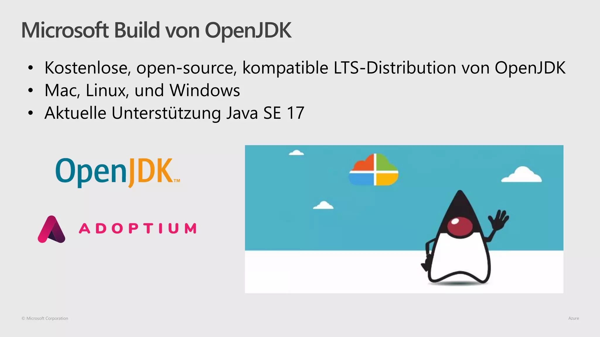 © Microsoft Corporation
Microsoft Build von OpenJDK
 