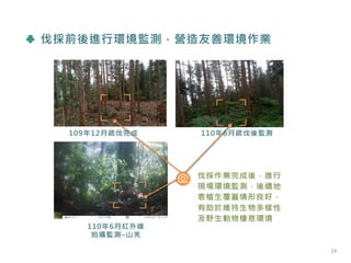 24
伐採前後進行環境監測，營造友善環境作業
24
 