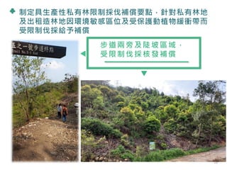 制定具生產性私有林限制採伐補償要點，針對私有林地
及出租造林地因環境敏感區位及受保護動植物緩衝帶而
受限制伐採給予補償
步道兩旁及陡坡區域，
受限制伐採核發補償
26
 