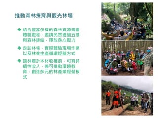 林下經濟
結合豐富多樣的森林資源規畫
體驗遊程，邀請民眾透過五感
與森林連結，釋放身心壓力
走訪林場，實際體驗現場作業
以及林業生產循環經營方式
讓林農於木材收穫前，可有持
續性收入，兼可推動環境教
育，創造多元的林產業經營模
式
37
推動森林療育與觀光林場
 