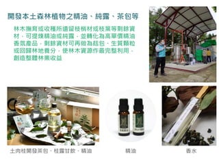 林木撫育或收穫所遺留枝梢材或枝葉等剩餘資
材，可提煉精油或純露，並轉化為高單價精油
香氛產品，剩餘資材可再做為菇包、生質顆粒
或回歸林地養分，使林木資源作最完整利用，
創造整體林業收益
香水
開發本土森林植物之精油、純露、茶包等
土肉桂開發茶包、桂露甘飲、精油 精油
 