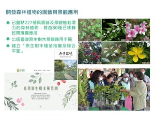開發森林植物的園藝與景觀應用
已盤點227種具園藝及景觀植栽潛
力的森林植物，育苗80種已移轉
民間推廣應用
出版臺灣原生樹木景觀應用手冊
建立「原生樹木種苗推廣及媒合
平臺」
39
 