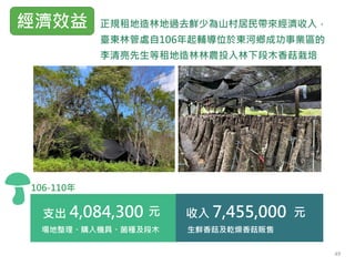支出 收入
4,084,300 7,455,000
場地整理、購入機具、菌種及段木 生鮮香菇及乾燥香菇販售
元 元
106-110年
正規租地造林地過去鮮少為山村居民帶來經濟收入，
臺東林管處自106年起輔導位於東河鄉成功事業區的
李清亮先生等租地造林林農投入林下段木香菇栽培
經濟效益
49
 