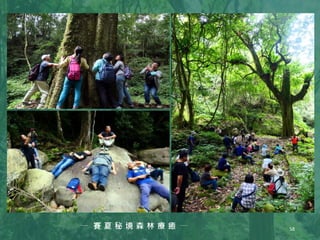 58
賽 夏 秘 境 森 林 療 癒
 