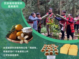 部落重要民族植物南庄橙「嘎達釉」，
睽違部落47 年後重返山林
正研發產業應用
民族植物復育與
產業應用
59
 