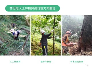 人工林撫育 造林木修枝 林木採伐作業
林班地人工林撫育疏伐培力與委託
60
 